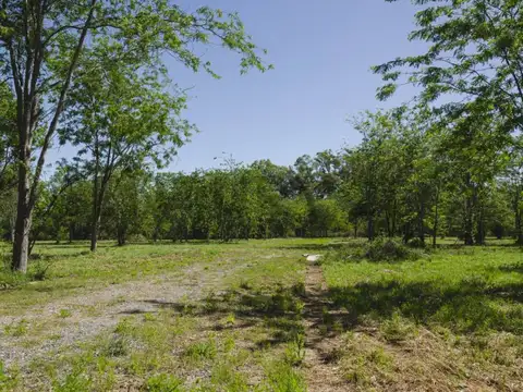 Terreno en Venta en Villa Elisa, Partido de La Plata
