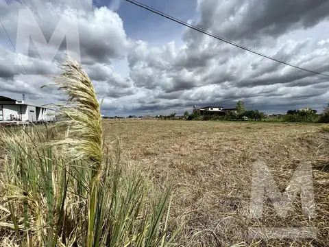 Terreno en Venta en Arana, Partido de La Plata