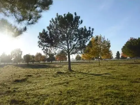 Terreno en Venta en Alto Los Cardales, Campana