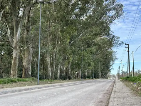 Terreno en Venta en Longchamps, Partido de Almirante Brown