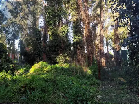 Terreno en Venta en Mar del Plata, Partido de General Pueyrredón
