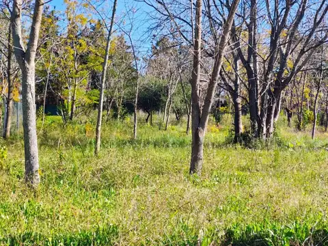 Terreno en Venta en Countries y Barrios Cerrados en Escobar, Partido de Escobar