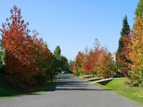 Terreno en Venta en Pilar del Este - San Eduardo, Countries y Barrios Cerrados en Pilar