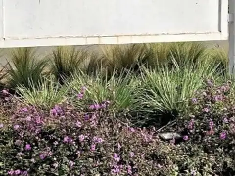 Terreno en Venta en Pilar del Este - Santa Elena, Countries y Barrios Cerrados en Pilar