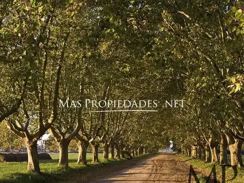 Terreno en Venta en Estancia Villa Maria, Countries y Barrios Cerrados en Ezeiza