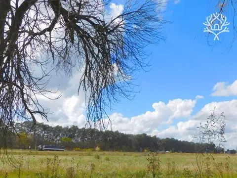 Terreno en Venta en El Remanso, Countries y Barrios Cerrados en Exaltacion de la Cruz