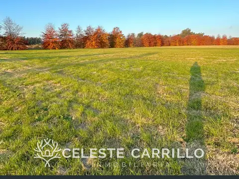 Terreno en Venta en Los Pinares Country Club, Countries y Barrios Cerrados en Exaltacion de la Cruz