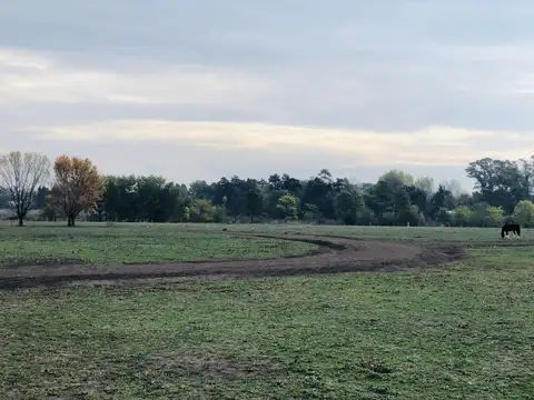 Terreno en Venta en Del Viso, Partido de Pilar