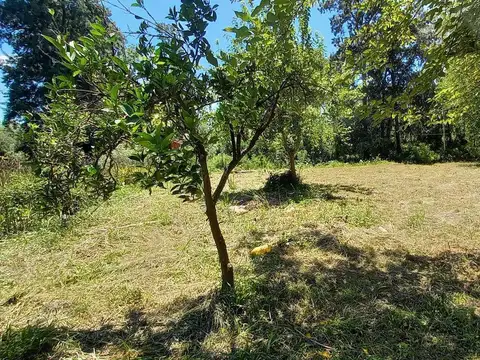 Terreno en Venta en Espera, Delta del Tigre