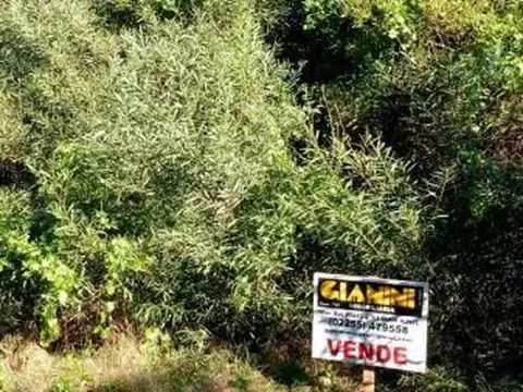 Terreno en Venta en Pueblo San Jose, Partido de Coronel Suárez