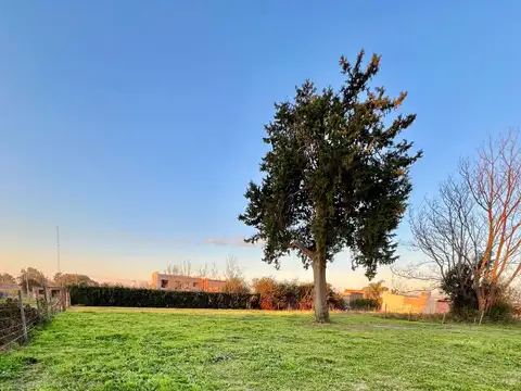Terreno en Venta en Baradero, Partido de Baradero