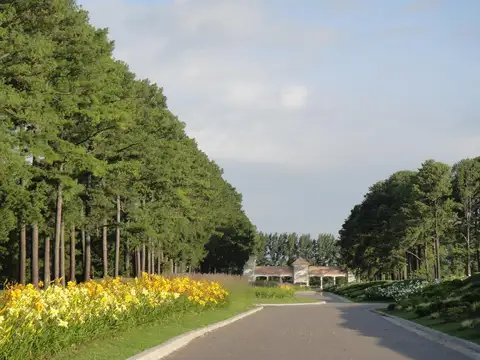 Terreno en Venta en Los Pinares Country Club, Countries y Barrios Cerrados en Exaltacion de la Cruz