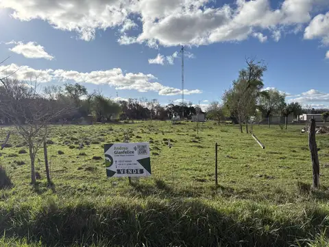 Terreno en Venta en Elvira, Partido de Lobos