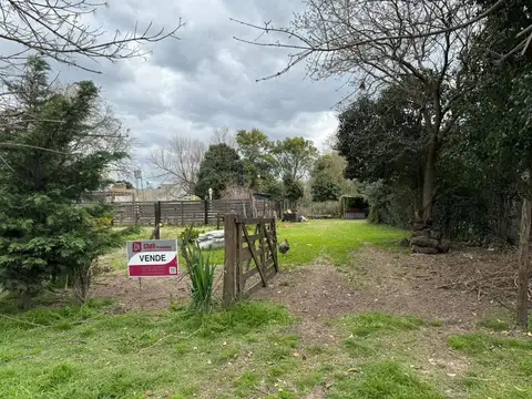 Terreno en Venta en Duggan, Partido de San Antonio de Areco