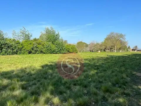 Terreno en Venta en La Ranita, Manzanares