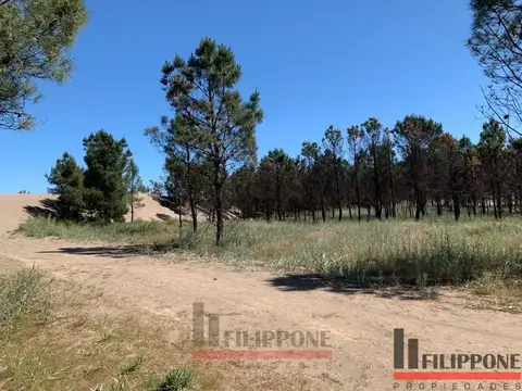 Terreno en Venta en Pehuen Co, Partido de Coronel de Marina Leonardo Rosales