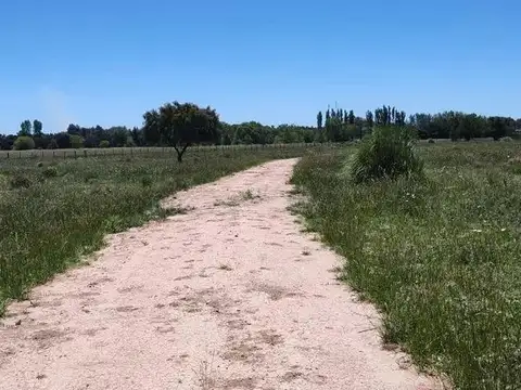 Terreno en Venta en Monte Grande, Partido de Esteban Echeverría