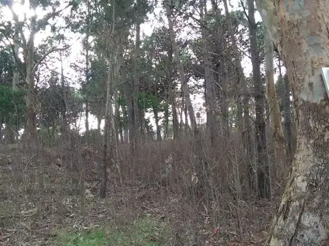 Terreno en Venta en Las Gaviotas, Mar Azul