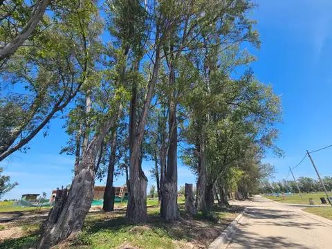 Terreno en Venta en Pilar Del Este, Countries y Barrios Cerrados en Pilar