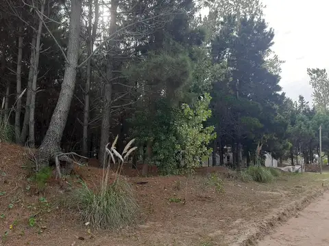 Terreno en Venta en San Bernardo del Tuyú, Partido de La Costa