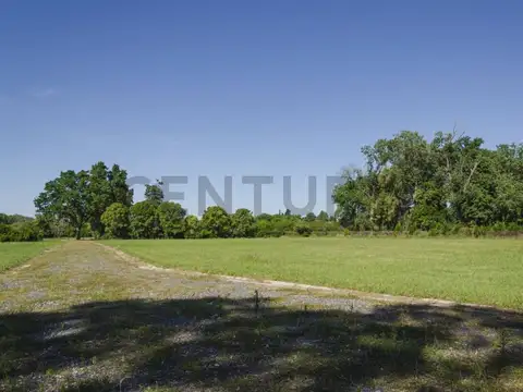 Terreno en Venta en Villa Elisa, Partido de La Plata