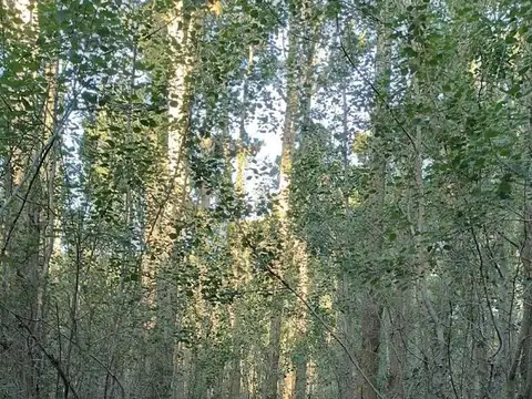 Terreno en Venta en La Lucila del Mar, Partido de La Costa