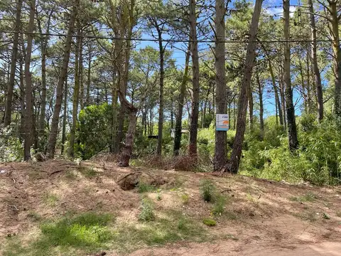 Terreno en Venta en Las Gaviotas, Mar Azul