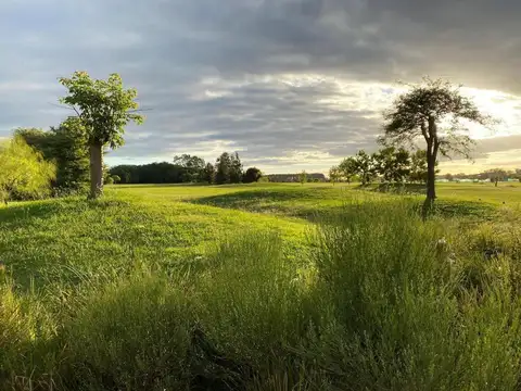 Terreno en Venta en Medal Country club, Countries y Barrios Cerrados en Pilar