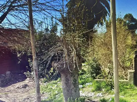 Terreno en Venta en Alejandro Korn, Partido de San Vicente