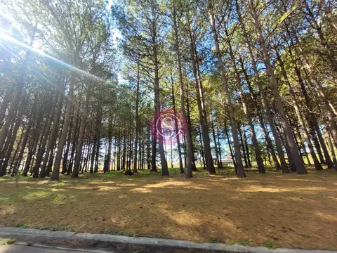 Terreno en Venta en Los Pinares Country Club, Countries y Barrios Cerrados en Exaltacion de la Cruz