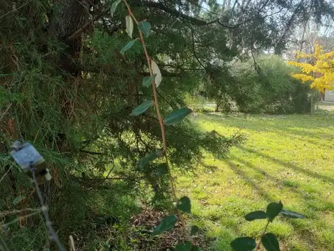 Terreno en Venta en Presidente Derqui, Partido de Pilar