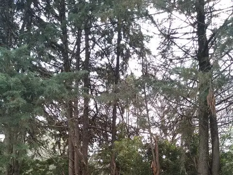 Terreno en Venta en Tortuguitas, Partido de José C. Paz