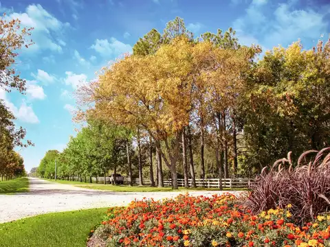 Terreno en Venta en Fincas de San Vicente, Canning