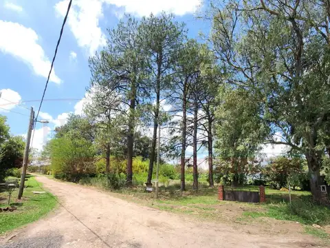 Terreno en Venta en Cañuelas, Partido de Cañuelas