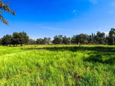 Terreno en Venta en San Vicente, Partido de San Vicente