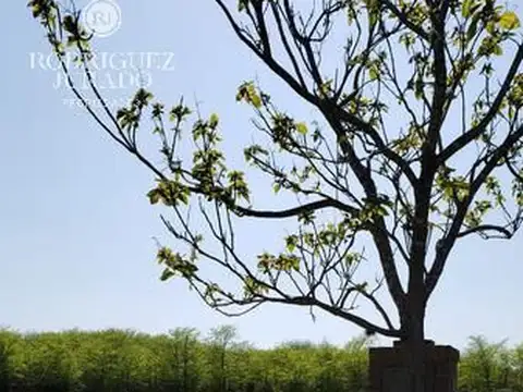Terreno en Venta en Lujan, Partido de Luján