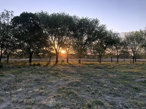 Terreno en Venta en Del Viso, Partido de Pilar