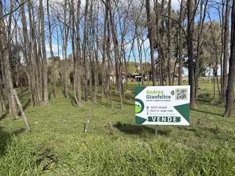 Terreno en Venta en Elvira, Partido de Lobos