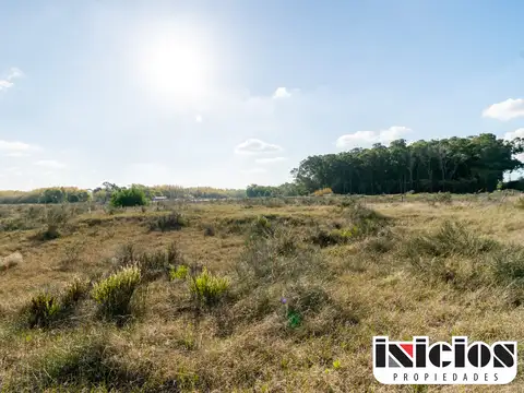 Terreno en Venta en Paraje Pavon, Partido de General Lavalle