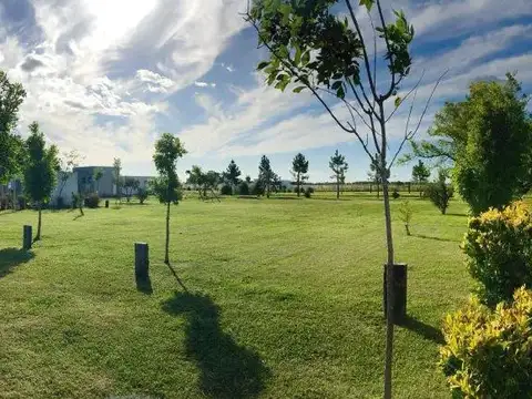 Terreno en Venta en Countries y Barrios Cerrados en la Plata, Partido de La Plata