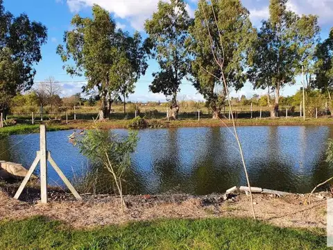 Terreno en Venta en Pilar del Este - Santa Emilia, Countries y Barrios Cerrados en Pilar