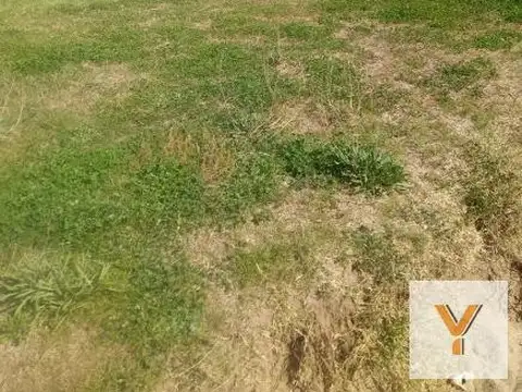 Terreno en Venta en Quequen, Partido de Necochea