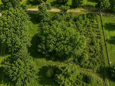 Terreno en Venta en Los Pinos 2, Parada Robles