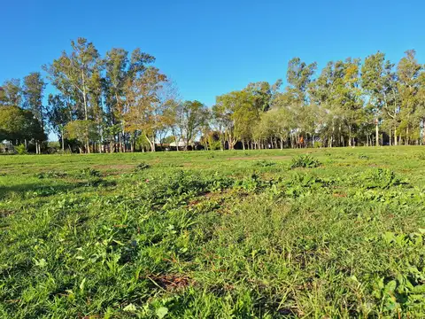 Terreno en Venta en La Plata, Partido de La Plata