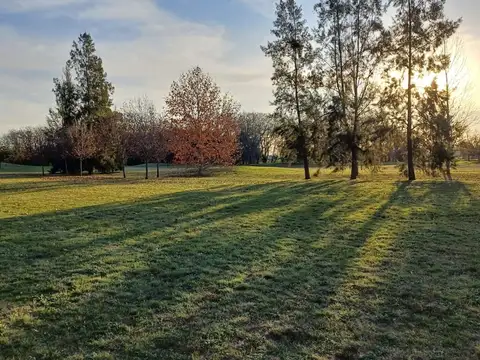 Terreno en Venta en Medal Country club, Countries y Barrios Cerrados en Pilar