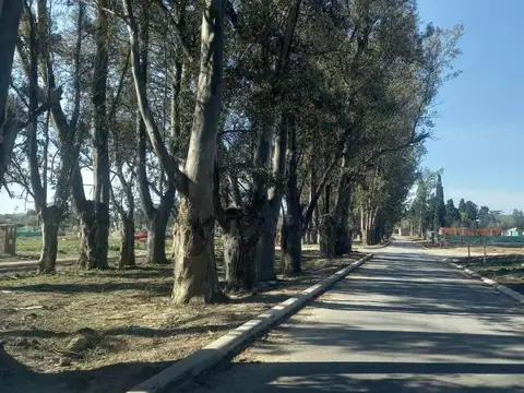 Terreno en Venta en Pilar Del Este - Santa Sofia, Countries y Barrios Cerrados en Pilar