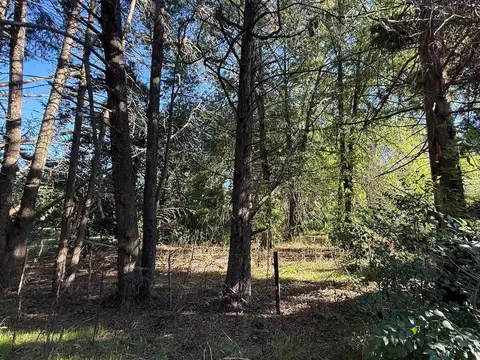 Terreno en Venta en Parada Robles, Partido de Exaltación de la Cruz