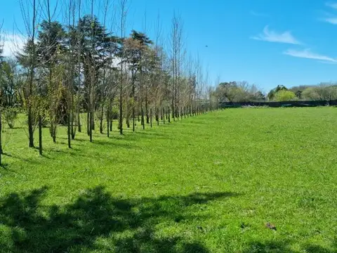 Terreno en Venta en Coronel Brandsen, Partido de Brandsen