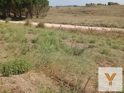 Terreno en Venta en Reta, Partido de Tres Arroyos