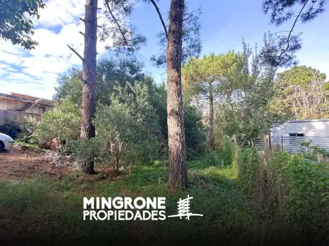 Terreno en Venta en Ostende, Partido de Pinamar